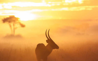 Southern Africa: Delta & Falls