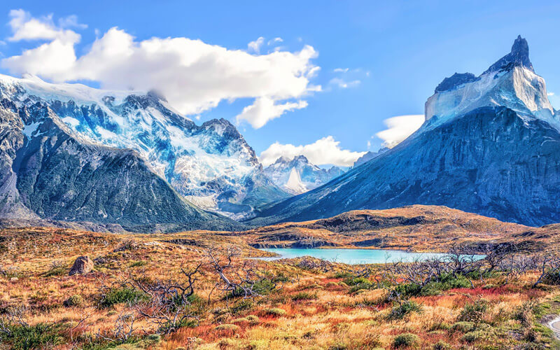 Specials - Patagonia & Argentina